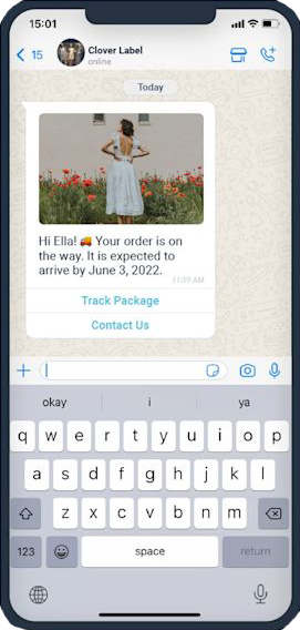 WhatsApp conversation interface showing business messaging